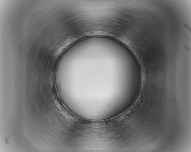 X0000102850345200808181052