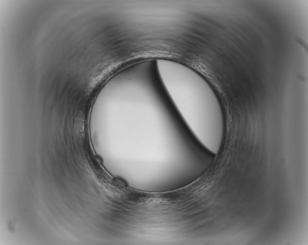 X0000102850348200808181052