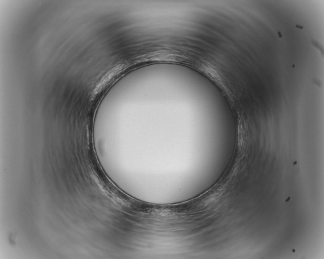 X0000102850349200808181052