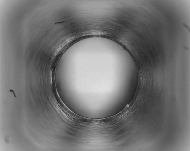 X0000102850350200808181052