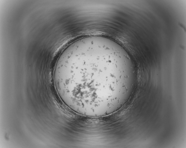 X0000102850351200808181052