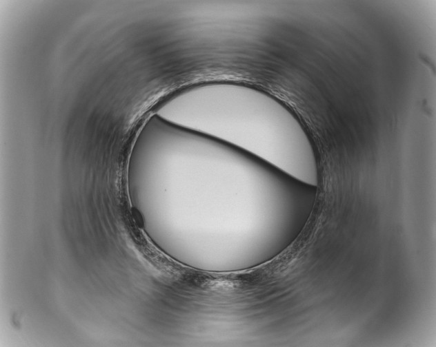 X0000102850352200808181052