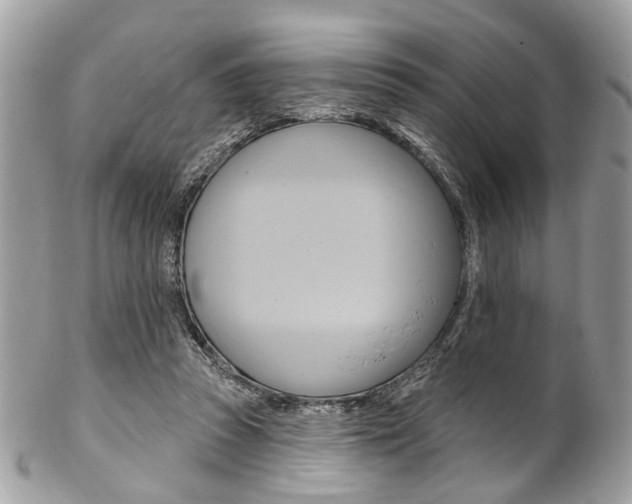 X0000102850353200808181052