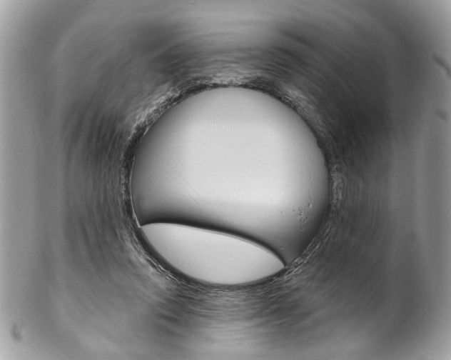 X0000102850354200808181052