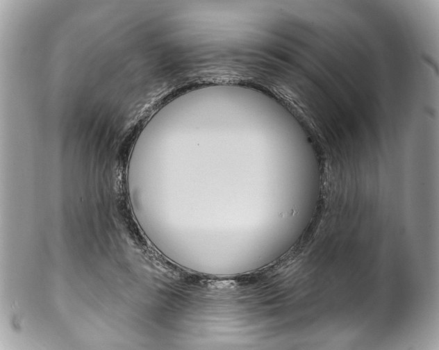X0000102850355200808181052