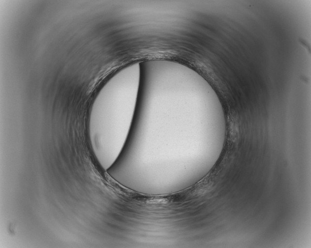 X0000102850357200808181052