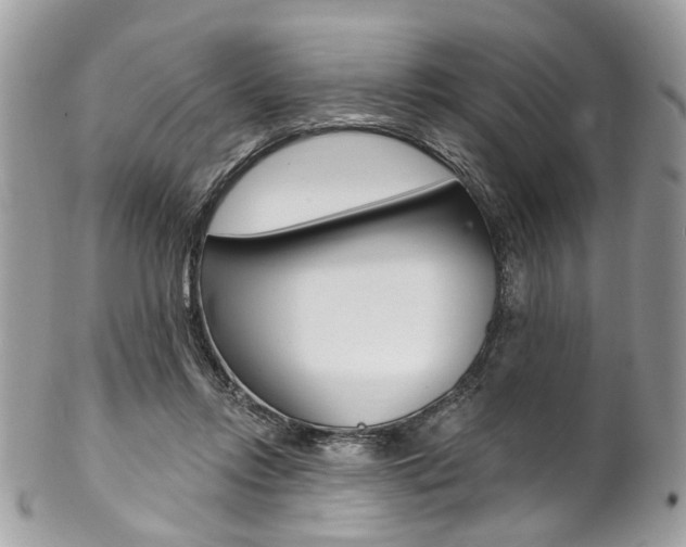 X0000102850358200808181052