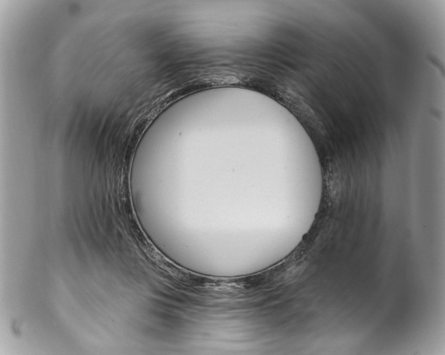 X0000102850359200808181052