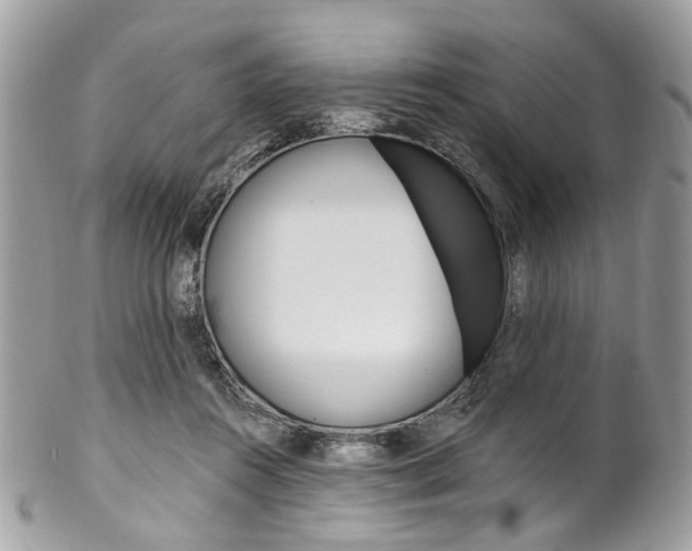 X0000102850360200808181052