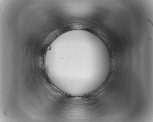 X0000102850361200808181052