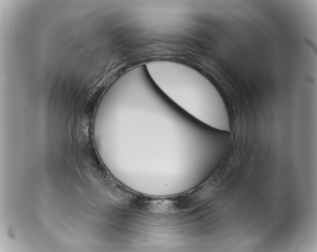 X0000102850363200808181052