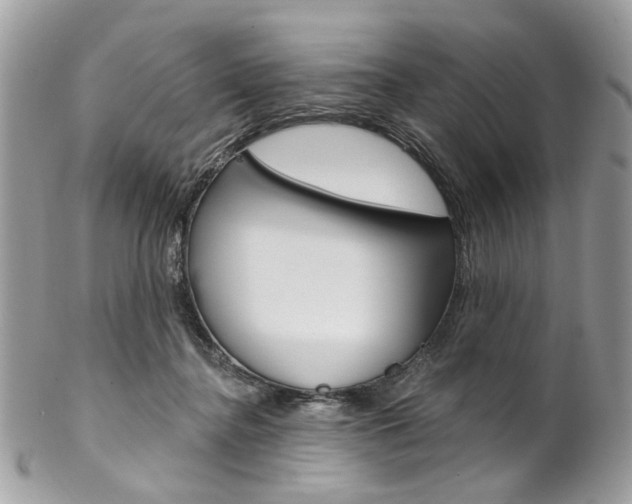 X0000102850364200808181052