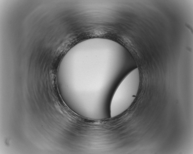 X0000102850366200808181052