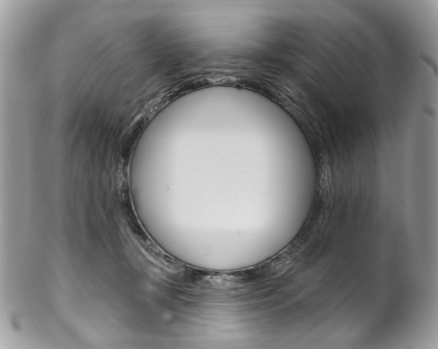 X0000102850367200808181052