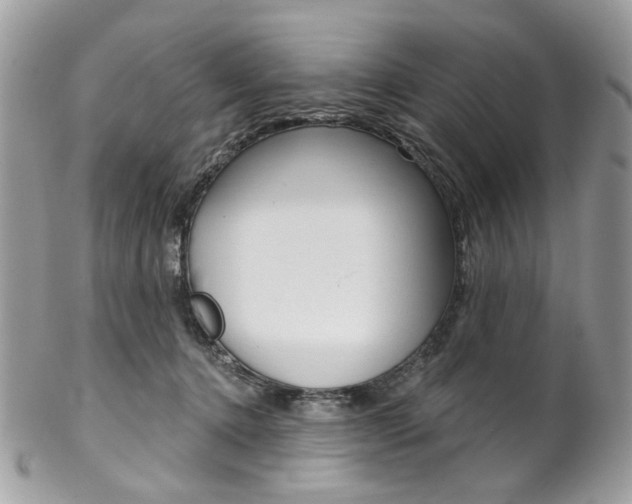 X0000102850368200808181052