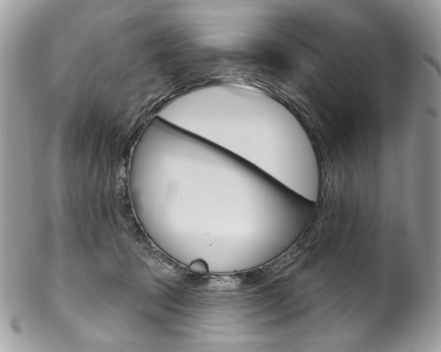 X0000102850369200808181052