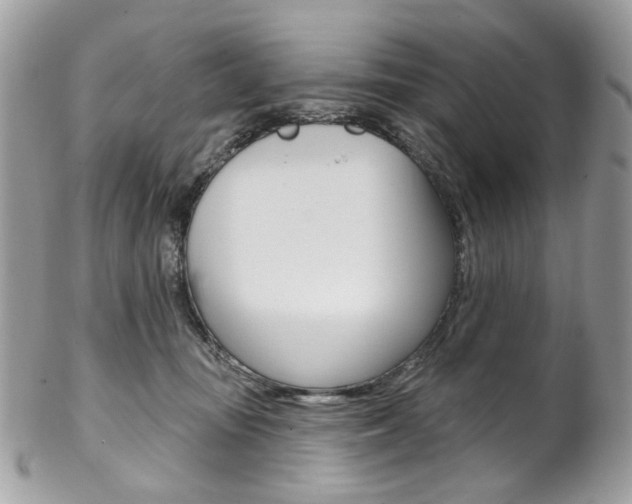 X0000102850371200808181052