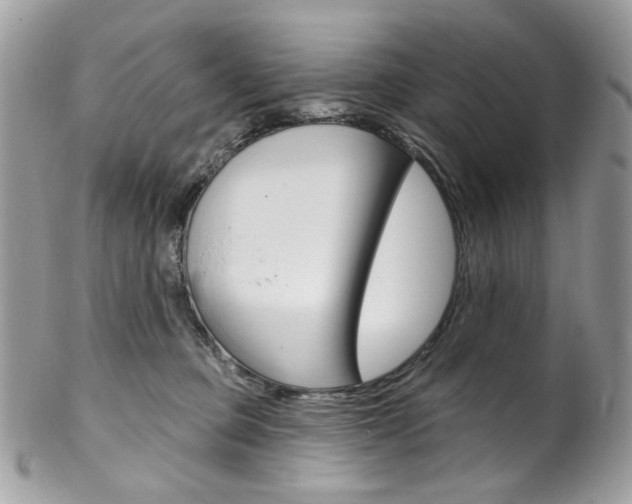 X0000102850373200808181052