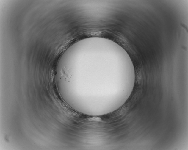 X0000102850374200808181052