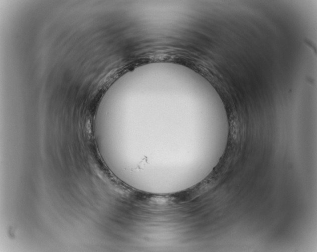 X0000102850375200808181052