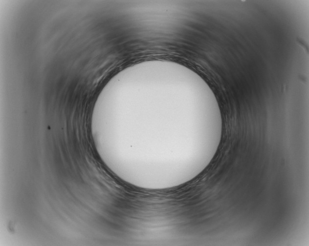 X0000102850376200808181052