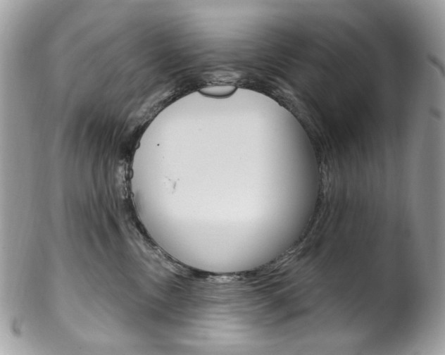X0000102850378200808181052