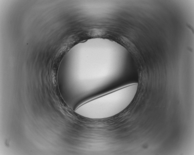 X0000102850380200808181052