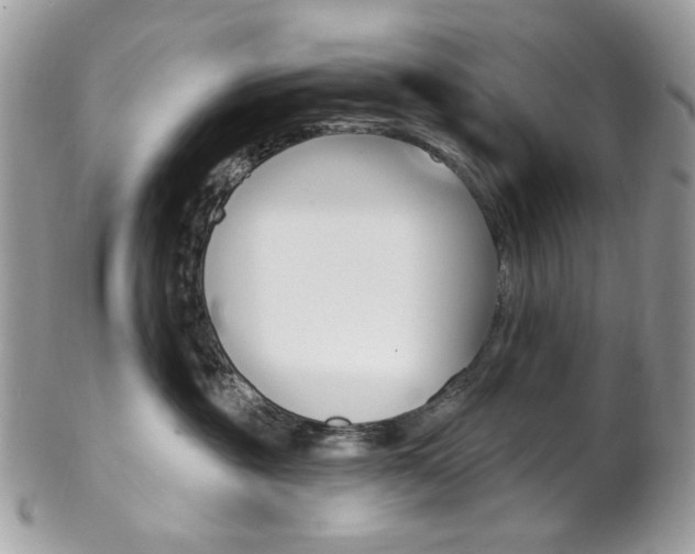 X0000102850381200808181052