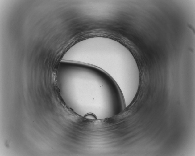 X0000102850382200808181052