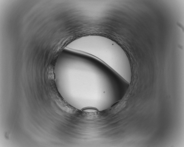 X0000102850384200808181052