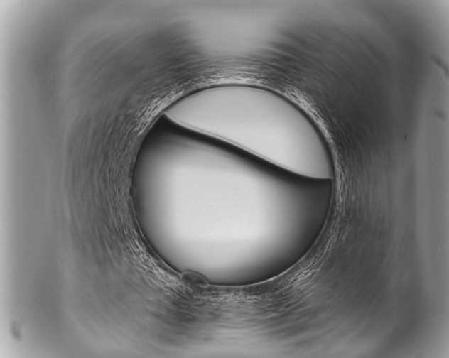 X0000102850385200808181052
