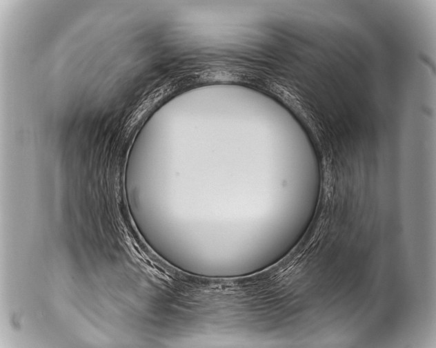 X0000102850386200808181052