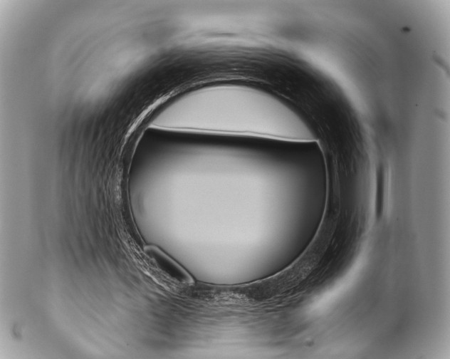 X0000102850387200808181052