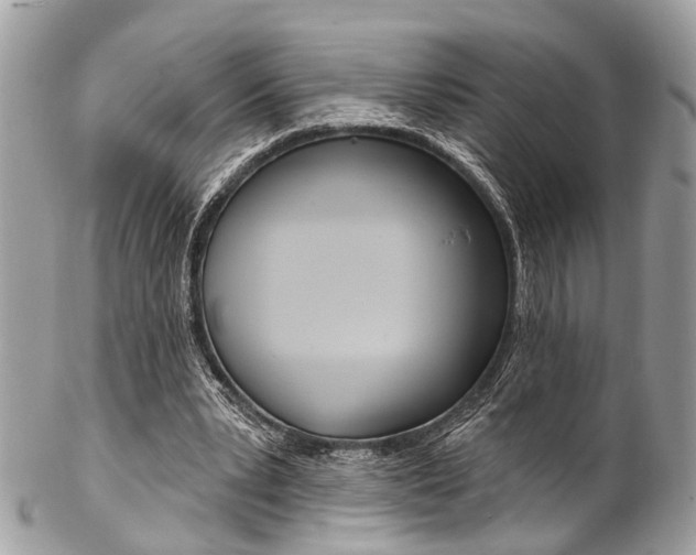 X0000102850391200808181051