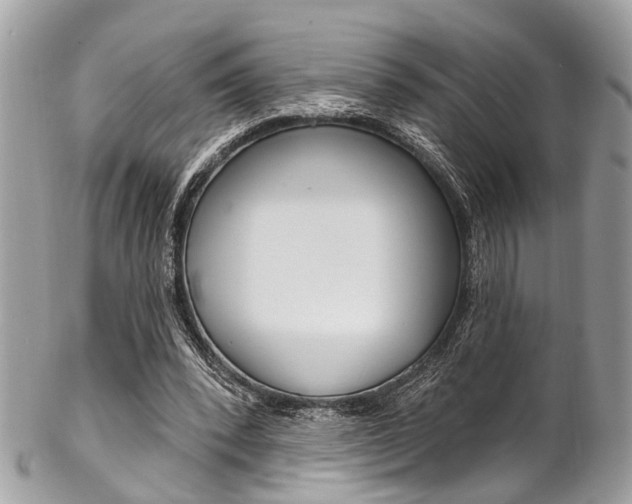 X0000102850392200808181051