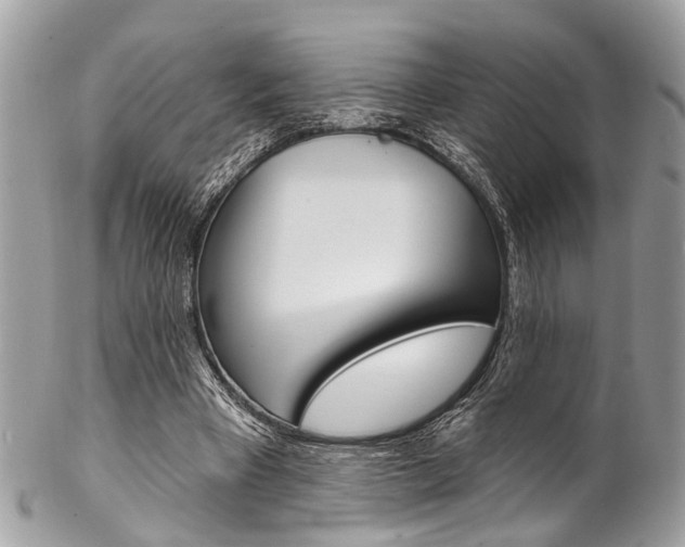 X0000102850393200808181051
