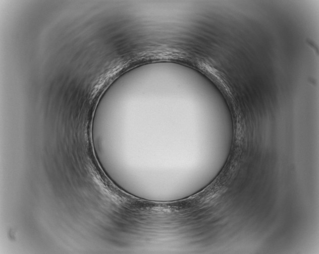 X0000102850394200808181051