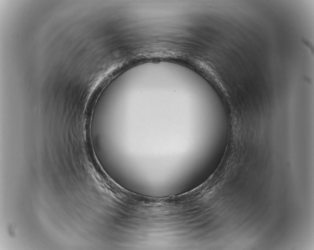 X0000102850395200808181051