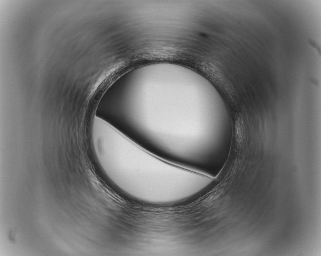 X0000102850396200808181051