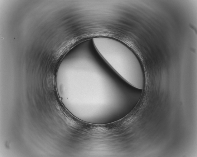 X0000102850397200808181051