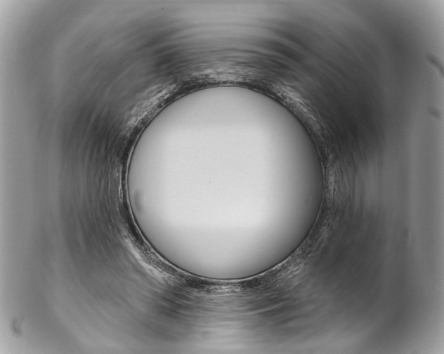 X0000102850398200808181051