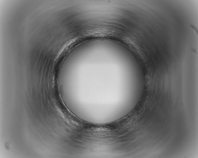 X0000102850400200808181051