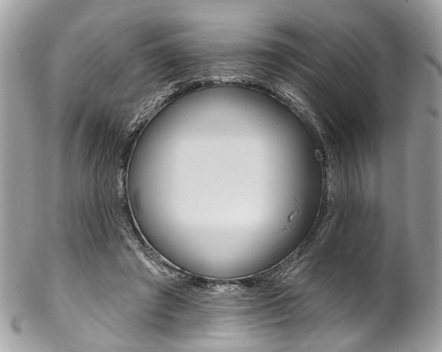 X0000102850401200808181051