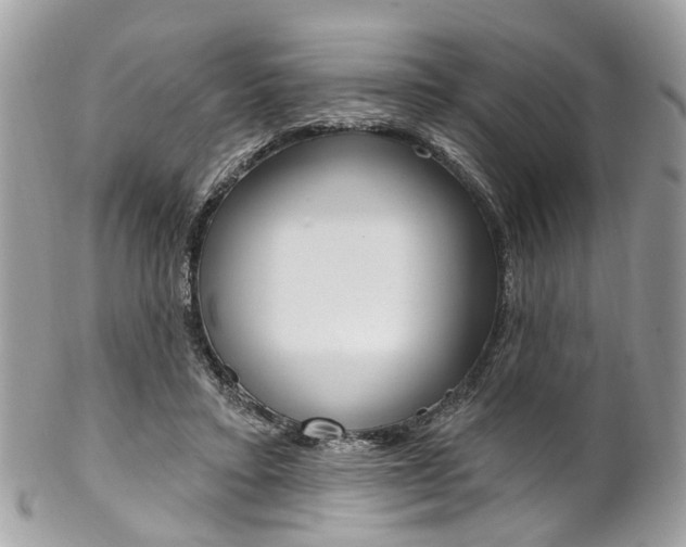 X0000102850403200808181051