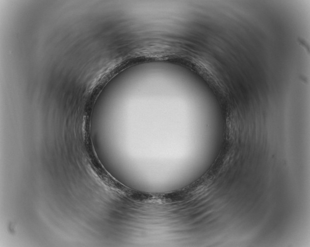 X0000102850404200808181051