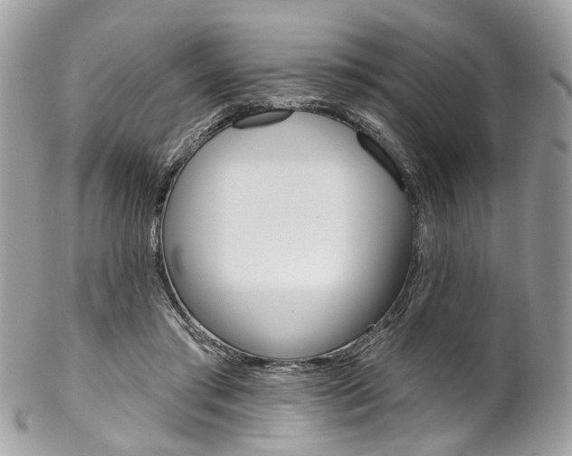 X0000102850405200808181051