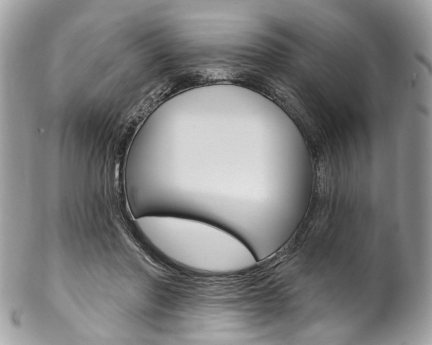 X0000102850406200808181051