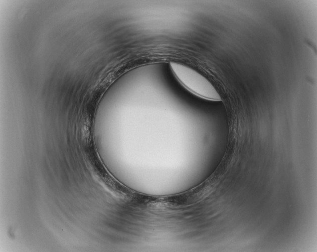 X0000102850408200808181051
