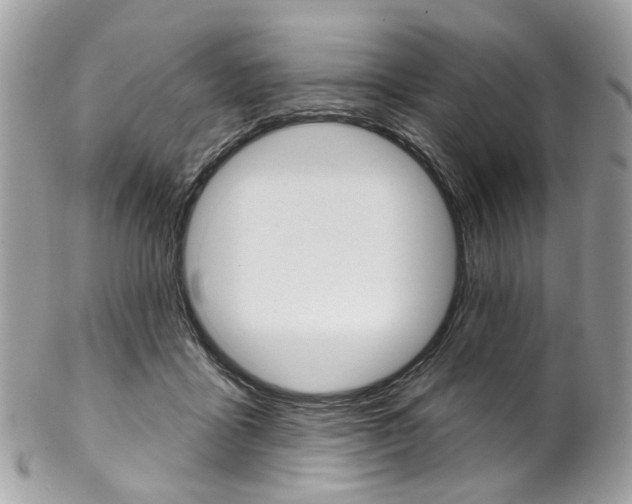 X0000102850411200808181051