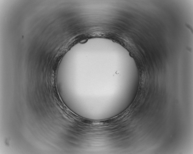 X0000102850413200808181051